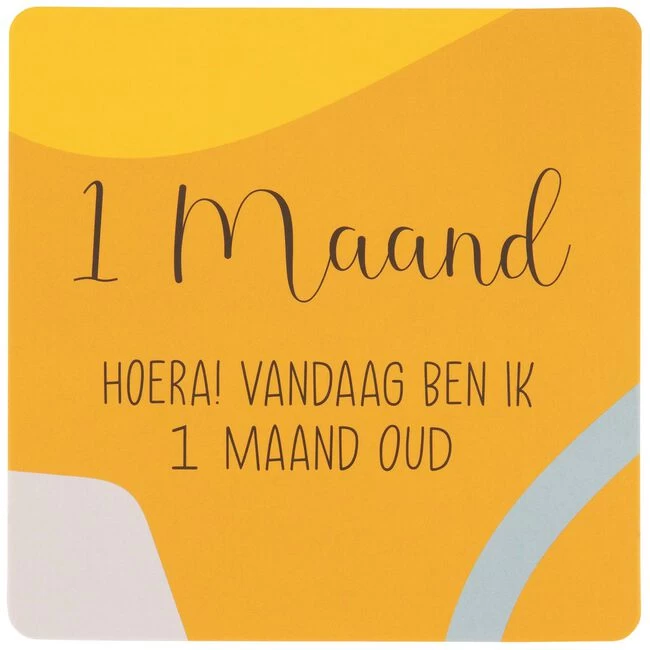 Prénatal Foto Momentkaarten 6 Prénatal Foto Momentkaarten - Afbeelding 4