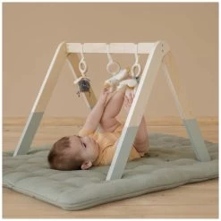 Little Dutch Babygym Little Goose -Slim Spelen & Leren 138652 1386520099 5