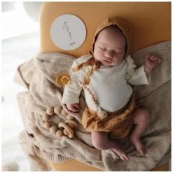 Mushie Milestone Cards / Mijlpaalkaarten -Slim Spelen & Leren 142310 1423100099 3