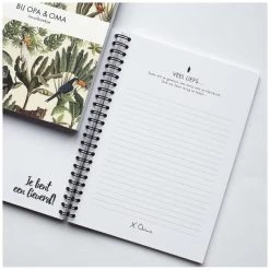 Leukigheidjes Invulboekje Bij Opa En Oma -Slim Spelen & Leren 142580 1425800099 2