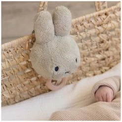 Nijntje Muziekdoosje Fluffy Green -Slim Spelen & Leren 1463870038 2